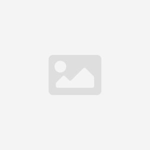 BauderGREEN PE 02